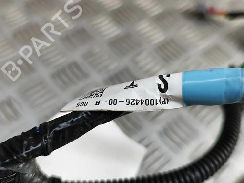 Wiring harness TESLA MODEL S (5YJS) P100D AWD | BP28497967E16 