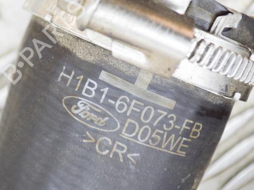 Pipe FORD FIESTA VII (HJ, HF) 1.0 EcoBoost | BP14454494M125 