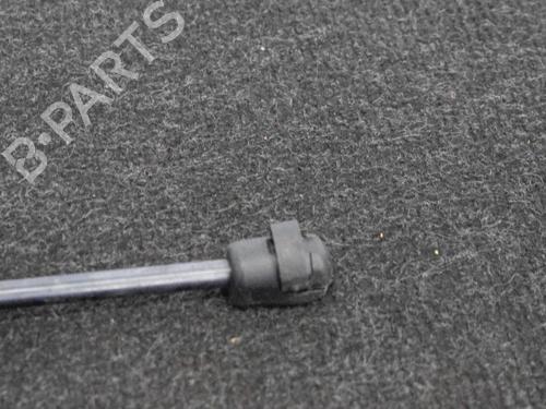 Hood lift support LAND ROVER RANGE ROVER EVOQUE (L538) 2.0 D 4x4 | BP14667354C139 