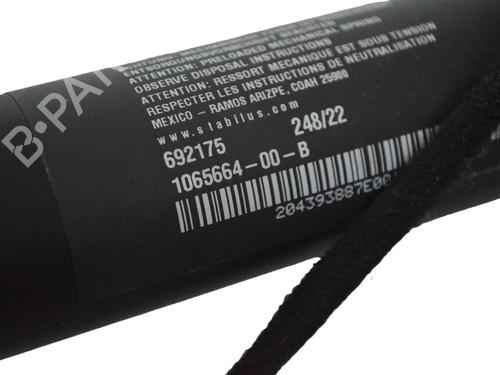 Tailgate lift support TESLA MODEL Y (5YJY) EV Performance All-wheel Drive | BP30250439C138