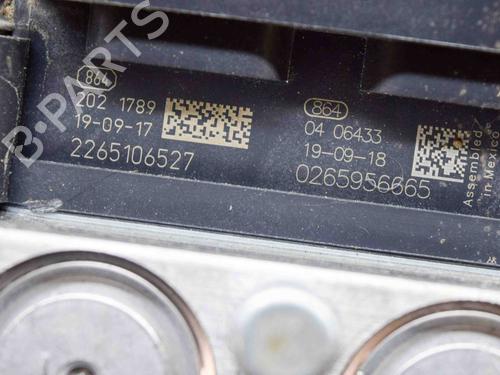 Abs pomp TESLA MODEL 3 (5YJ3) EV | BP27764385M43