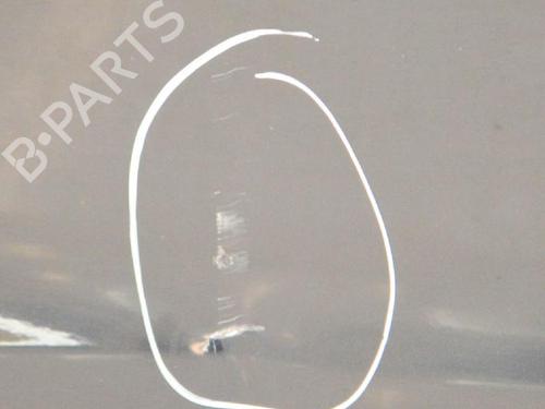 Right front door JAGUAR S-TYPE II (X200) R 4,2 V8 | BP6749709C3 
