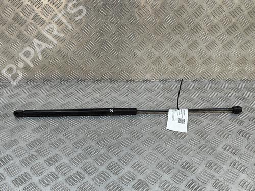 Used Hood lift support MERCEDES-BENZ S-CLASS (W220) S 500 (220.075, 220.175, 220.875) (306 hp) 25614662