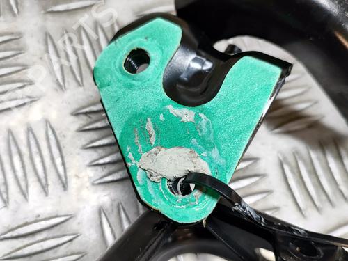 Hinge/Door check strap JAGUAR F-TYPE Coupe (X152) 5.0 SCV8 R AWD | BP25788045C146 