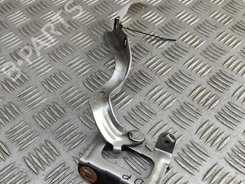 Hinge/Door check strap TOYOTA PRIUS (_W3_) 1.8 Hybrid (ZVW3_) | BP28811903C146 