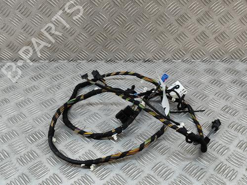 Wiring harness BMW 4 Coupe (F32, F82) 435 d xDrive | BP21809205E16 