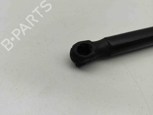Tailgate lift support LAND ROVER RANGE ROVER EVOQUE (L538) 2.0 D 4x4 | BP28434309C138