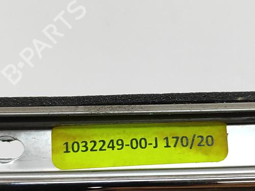 Dørliste TESLA MODEL X (5YJX) P100D AWD | BP28435661C150 