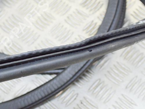 Rubber door seal PORSCHE PANAMERA (970) 3.0 D | BP14622895C142