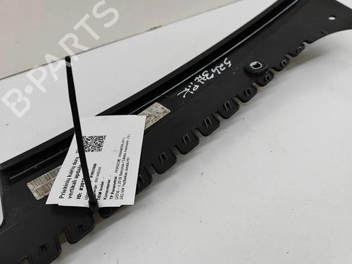 Door moulding trim PORSCHE PANAMERA (971) 2.9 4 E-Hybrid (97ABE1, 97BBE1) | BP30812263C150