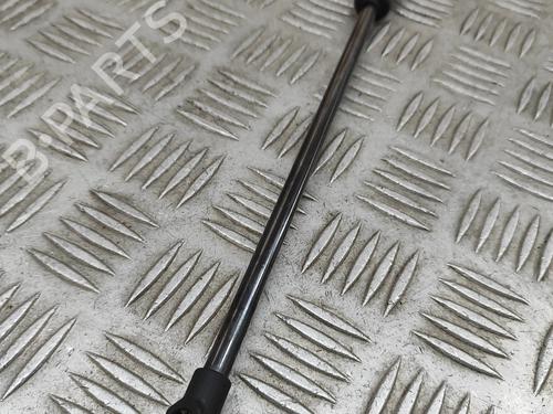 Hood lift support LEXUS NX (_Z1_) 300h AWD (AYZ15_, AYZ15R) | BP27789979C139