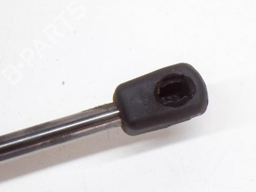 Hood lift support BMW 2 Coupe (F22, F87) 220 d | BP14620519C139 