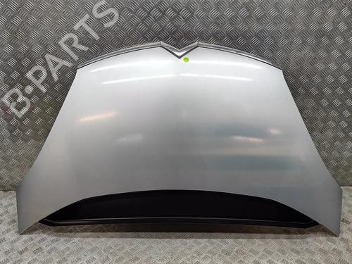 hood-citroen-c4-picasso-i-mpv-ud_-2006-2007-2008-2009-2010-2011-2012-2013-2014-2015-24142894 main image