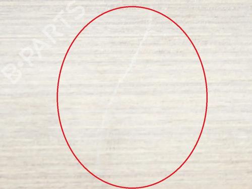 Altro TESLA MODEL 3 (5YJ3) EV | BP27750383O1 