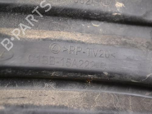 Grill FORD FIESTA VI (CB1, CCN) 1.0 EcoBoost | BP33347228C40 - Image 5