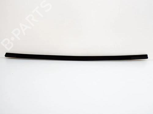 Dørliste TESLA MODEL 3 (5YJ3) EV | BP27749061C150