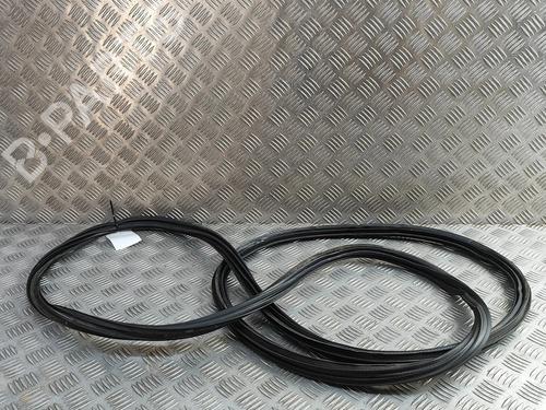 Used Rubber door seal Rubber door seal NISSAN 370Z Coupe (Z34) NISMO 3.7 (344 hp) 33373696 33373696
