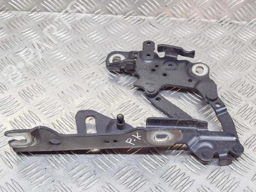 Used Hinge/Door check strap BMW 4 Gran Coupe (F36) 435 d xDrive (313 hp) 14620839