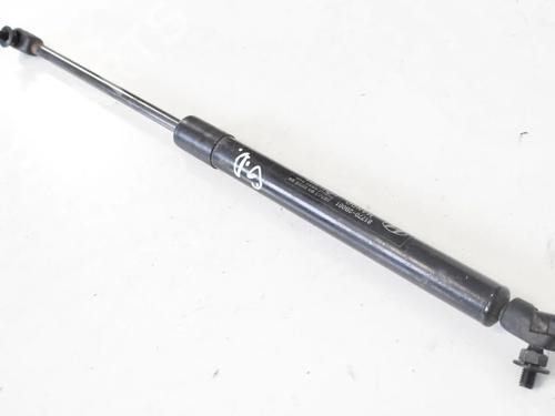 tailgate-lift-support-hyundai-santa-fe-ii-cm-2005-2006-2007-2008-2009-2010-2011-2012-2013-2014-2015-30258950 main image