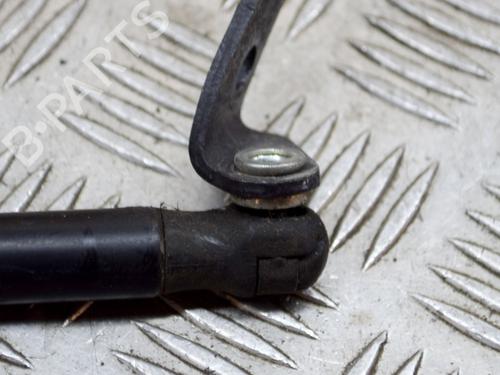 Hood lift support TESLA MODEL S (5YJS) 75 | BP14632266C139 