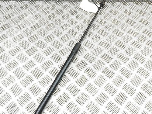 Tailgate lift support MERCEDES-BENZ E-CLASS T-Model (S213) E 220 d 4-matic (213.205) | BP30621030C138