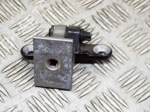 Hinge/Door check strap BMW 5 (F10) 535 d | BP14629685C146 