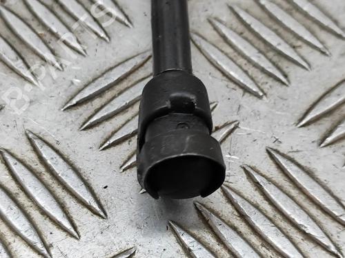 Tailgate lift support NISSAN QASHQAI III (J12) 1.3 DIG-T | BP28554789C138 