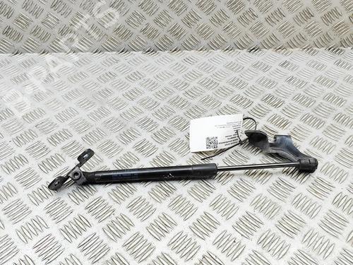 hood-lift-support-tesla-model-3-5yj3-2017-33394504 main image