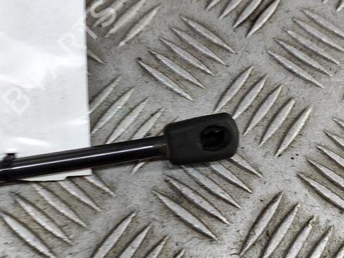 Hood lift support BMW 3 (F30, F80) M3 | BP27799916C139 