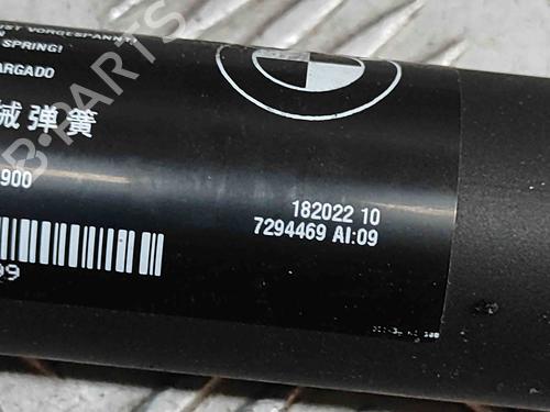 Tailgate lift support BMW X5 (F15, F85) xDrive 30 d | BP27799834C138 
