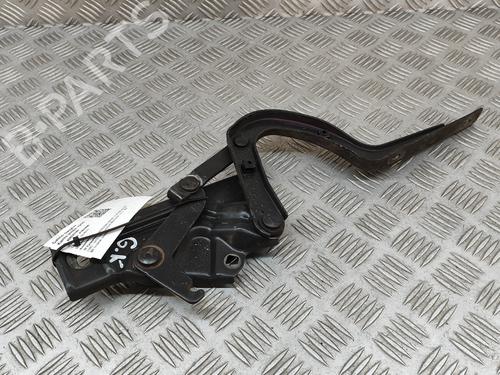 Hinge/Door check strap MERCEDES-BENZ S-CLASS Saloon (W108, W109) 280 S (108.016) | BP23865533C146 