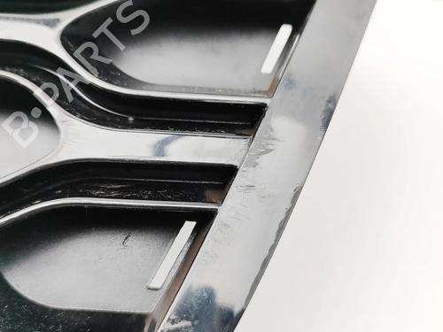 Grill LAND ROVER DISCOVERY V (L462) D300 MHEV 4x4 | BP30644284C40 