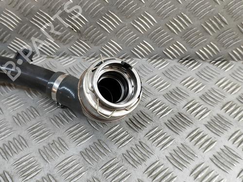 Pipe NISSAN JUKE (F16_) DIG-T 117 | BP28433462M125