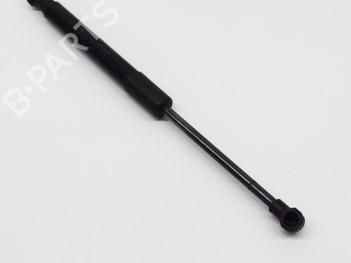 Hood lift support AUDI Q5 (8RB) SQ5 TDI quattro | BP14615925C139 