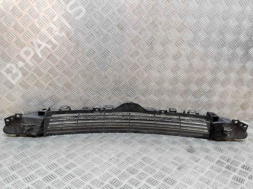 Grille TESLA MODEL 3 (5YJ3) EV | BP29485957C40 