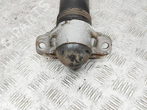 Right rear shock absorber VW GOLF VIII (CD1, DA1) 2.0 TDI GTD | BP31715321M19 