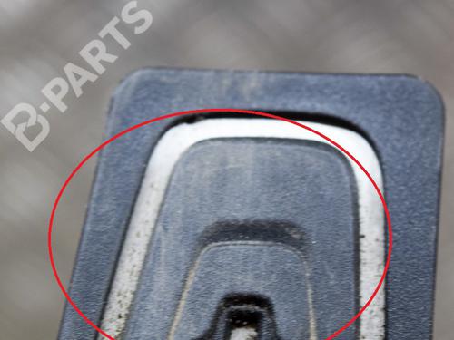 Pedal BMW 3 (G20, G80, G28) 330 e Plug-in-Hybrid | BP10075091I4 