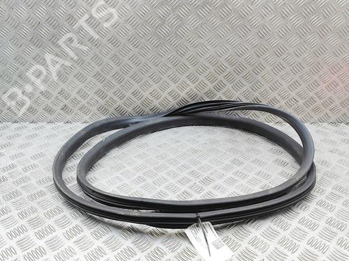 rubber-door-seal-renault-zoe-bfm_-2012-34282605 main image