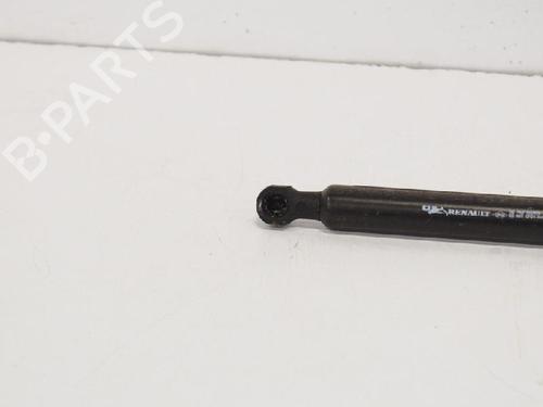 Hood lift support RENAULT CAPTUR I (J5_, H5_) 1.5 dCi 90 (J5N4, J5M5, J5MW, J5M6, J5AL, J5AJ) | BP14663935C139 