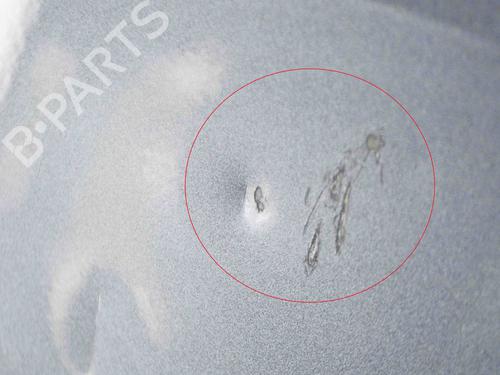 Left rear door PORSCHE 911 (991) 3.8 Carrera S | BP30154920C4 