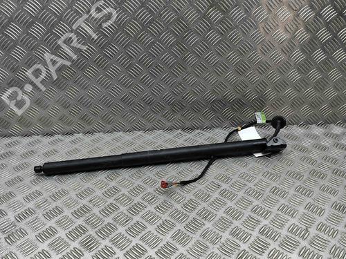 Used Tailgate lift support FORD KUGA III (DFK) 2.5 Duratec Plug-in-Hybrid (224 hp) 29487267