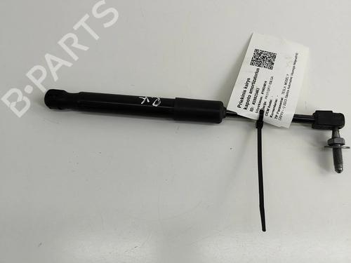 hood-lift-support-tesla-model-y-5yjy-2019-33369836 main image