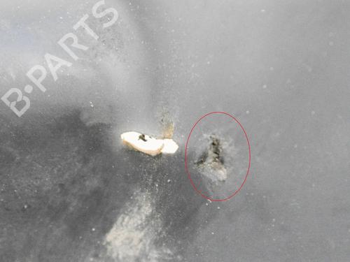 Other TESLA MODEL S (5YJS) 75 | BP20231368O1