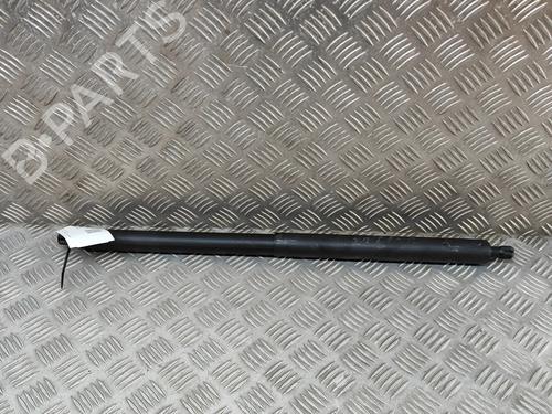 Amortiguador portón/maletero TESLA MODEL Y (5YJY) EV Performance All-wheel Drive (534 hp) 31314661