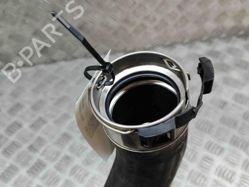 Pipe FORD FOCUS IV (HN) 1.0 EcoBoost | BP17225347M125