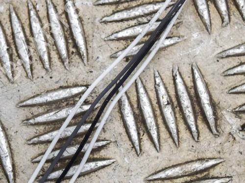 Electronic sensor FORD FIESTA VI (CB1, CCN) 1.0 EcoBoost | BP10074387M84 