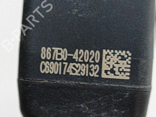 Camera TOYOTA RAV 4 IV (_A4_) 2.5 Hybrid (AVA42_) | BP18879124E14 