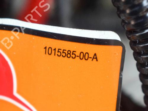 Ledningsnet TESLA MODEL 3 (5YJ3) EV | BP27756657E16