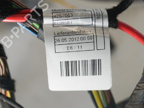 Wiring harness BMW 3 (F30, F80) 320 d | BP14660767E16 