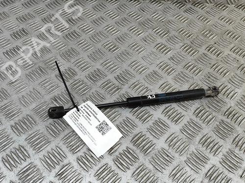 Used Hood lift support LAND ROVER FREELANDER 2 (L359) 2.2 TD4 4x4 (150 hp) 27531991